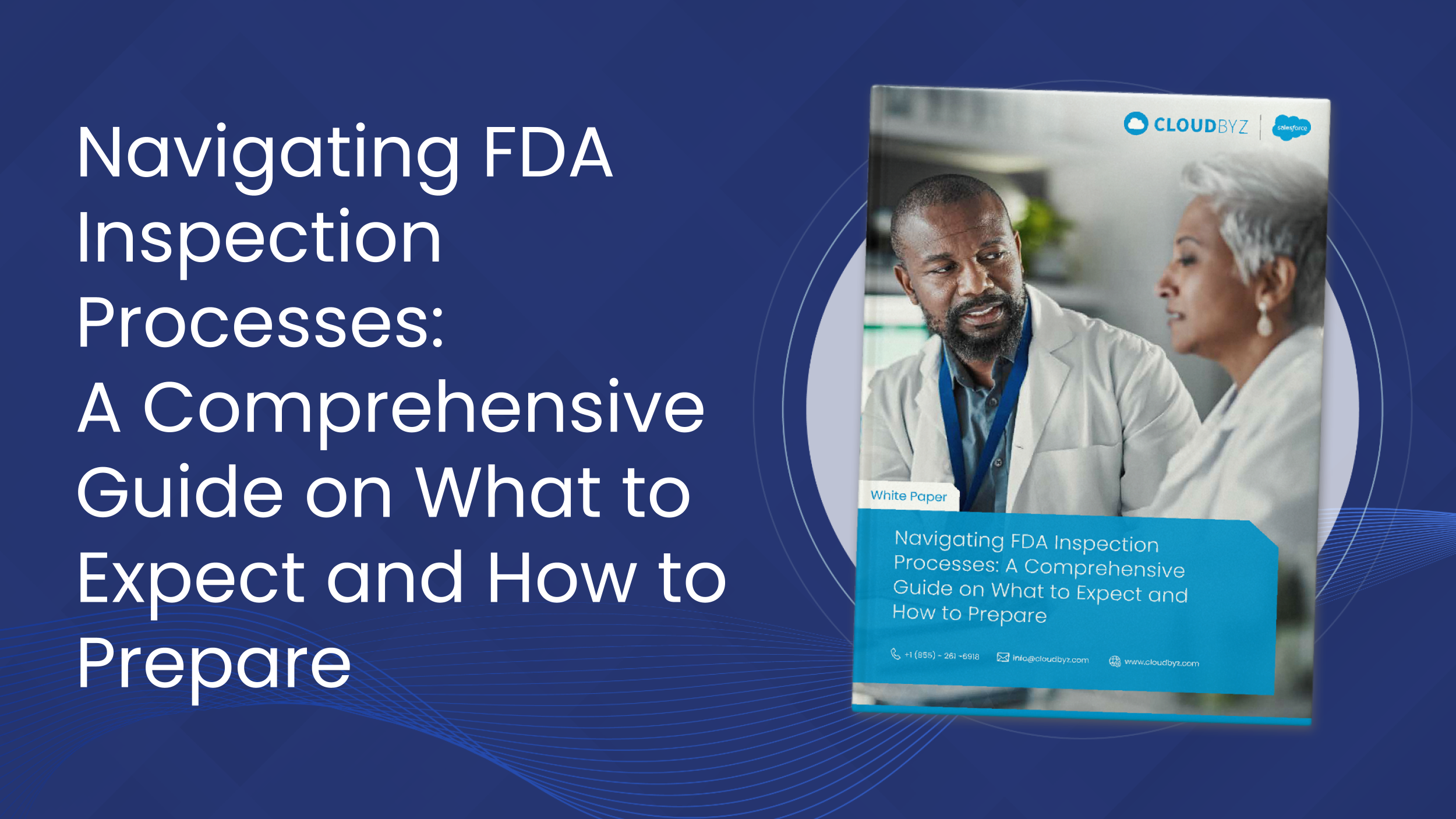 Navigating FDA Inspection Processes: A Comprehensive Guide on What to ...